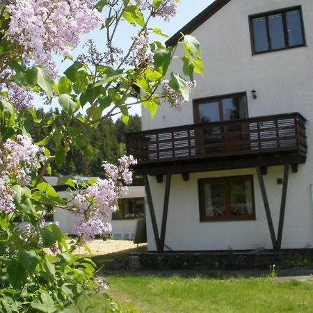 Ferienwohnungen Federleicht Titisee-Neustadt Buitenkant foto